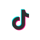 TikTok icon